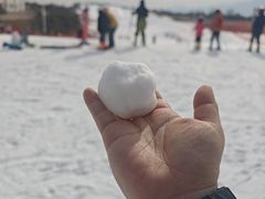 -华彬猛犸滑雪场