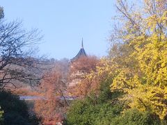 -灵谷景区
