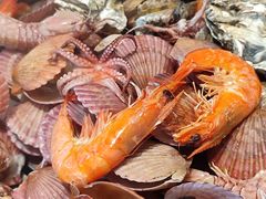 -大锅强·蒸海鲜青岛菜(吾悦广场店)