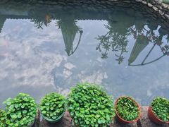 -楠溪江风景名胜区