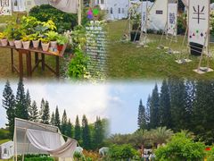 -深圳仙湖植物园