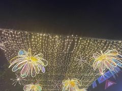 -第35届青岛国际啤酒节