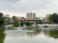 -顺峰山公园