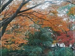 -秋霞圃