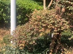 -仙岳公园