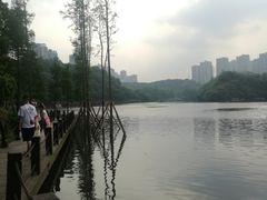 -重庆彩云湖湿地公园