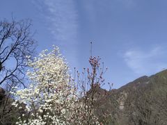 -秦岭终南山世界地质公园翠华山景区