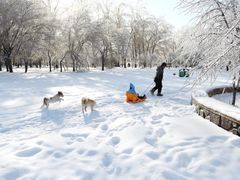 -长春公园(普阳街道)