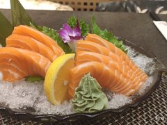 三文鱼刺身-晓寿司·精致料理(绿地店)