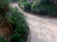 android_upload_pic-龙达温泉生态城