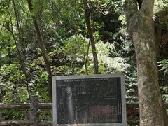 -鼎湖山风景区