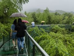 -陶祖圣境风景区