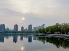 -莲花池公园