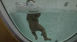 -爱婴岛婴儿游泳/推拿SPA馆(华南MALL店)