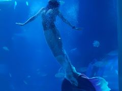 -太平洋海底世界