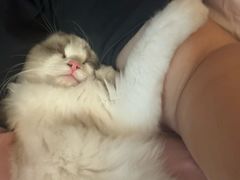 -八公叔叔宠物美容连锁(春申店)