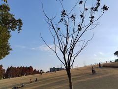 -路易时光(蕴川路店)