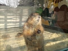 -大连森林动物园