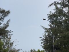 -汕尾风车岛