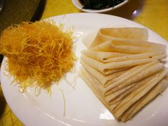 -丁老爷子苏香圆