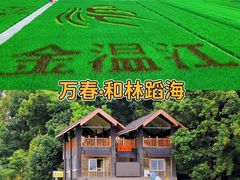 -老鼎万春卤菜(五代传承创始老店)