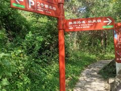 -秦岭终南山世界地质公园翠华山景区