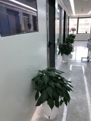 -悟空祛痘·诺奖技术专业店