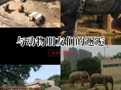 -南昌动物园