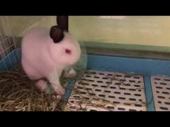 -雨林宠物医院 非犬猫异宠专科