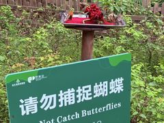 -野象谷景区