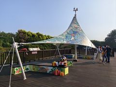 -大湾区中央湿地公园