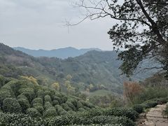 -十里琅珰