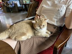 -咖法森林·咖啡  酒吧(天河店)