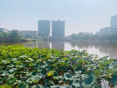 -西海子公园
