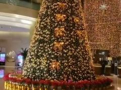 -厦门源昌凯宾斯基大酒店