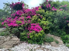 -三亚西岛海洋文化旅游区