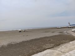 -江山半岛白浪滩景区