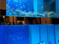 大堂-金悦轩海鲜酒家(银河店)