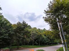 -紫金山山顶公园