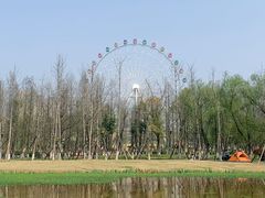 -洋湖国家湿地公园