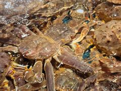 -龙宴海鲜城(经中路店)