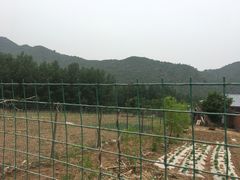-雾灵西峰