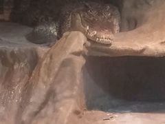 -上海大自然野生昆虫馆