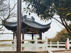 -普陀山风景区-佛顶山