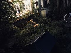 -海边的猫和咖啡馆