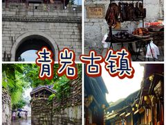 -黔灵山公园