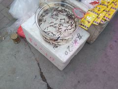 -中环花鸟鱼虫市场