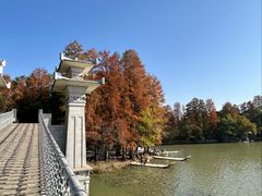 -东湖落雁景区