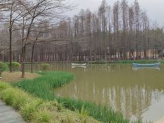 -佛冈森波拉度假区