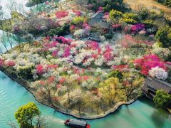 -西溪国家湿地公园